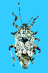  ( - EF-B128)  @11 [ ] Copyright (2025) Unspecified Modern College of Arts, Science and Commerce, Department of Zoology