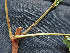  ( - CCDB-27885-E08)  @11 [ ] CreativeCommons - Attribution Non-Commercial Share-Alike (2017) Varun Swamy San Diego Zoo Global