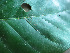  ( - BIORTP-061-E06)  @11 [ ] CreativeCommons - Attribution Non-Commercial Share-Alike (2019) Varun Swamy San Diego Zoo Global