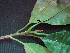  ( - BIORTP-061-E06)  @11 [ ] CreativeCommons - Attribution Non-Commercial Share-Alike (2019) Varun Swamy San Diego Zoo Global