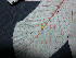  ( - BIORTP-061-E12)  @11 [ ] CreativeCommons - Attribution Non-Commercial Share-Alike (2019) Varun Swamy San Diego Zoo Global