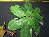  ( - BIORTP-061-E12)  @11 [ ] CreativeCommons - Attribution Non-Commercial Share-Alike (2019) Varun Swamy San Diego Zoo Global
