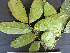  ( - CCDB-27885-A02)  @11 [ ] CreativeCommons - Attribution Non-Commercial Share-Alike (2017) Varun Swamy San Diego Zoo Global