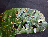  ( - BIORTP-062-F09)  @11 [ ] CreativeCommons - Attribution Non-Commercial Share-Alike (2019) Varun Swamy San Diego Zoo Global