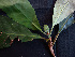  ( - BIORTP-062-B10)  @11 [ ] CreativeCommons - Attribution Non-Commercial Share-Alike (2019) Varun Swamy San Diego Zoo Global