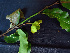  ( - BIORTP-062-F04)  @11 [ ] CreativeCommons - Attribution Non-Commercial Share-Alike (2019) Varun Swamy San Diego Zoo Global