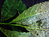 ( - BIORTP-061-A02)  @11 [ ] CreativeCommons - Attribution Non-Commercial Share-Alike (2019) Varun Swamy San Diego Zoo Global