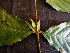  ( - BIORTP-062-D02)  @11 [ ] CreativeCommons - Attribution Non-Commercial Share-Alike (2019) Varun Swamy San Diego Zoo Global