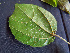  ( - BIORTP-062-A02)  @11 [ ] CreativeCommons - Attribution Non-Commercial Share-Alike (2019) Varun Swamy San Diego Zoo Global