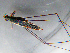  ( - MDFRC-7)  @11 [ ] CreativeCommons - Attribution Non-Commercial Share-Alike (2011) MDFRC Murray-Darling Freshwater Research Centre