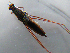  ( - MDFRC-8)  @11 [ ] CreativeCommons - Attribution Non-Commercial Share-Alike (2011) MDFRC Murray-Darling Freshwater Research Centre