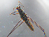  ( - MDFRC-9)  @11 [ ] CreativeCommons - Attribution Non-Commercial Share-Alike (2011) MDFRC Murray-Darling Freshwater Research Centre