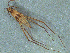  ( - MDFRC-10)  @11 [ ] CreativeCommons - Attribution Non-Commercial Share-Alike (2011) MDFRC Murray-Darling Freshwater Research Centre