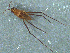  ( - MDFRC-11)  @11 [ ] CreativeCommons - Attribution Non-Commercial Share-Alike (2011) MDFRC Murray-Darling Freshwater Research Centre