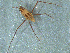  ( - MDFRC-12)  @11 [ ] CreativeCommons - Attribution Non-Commercial Share-Alike (2011) MDFRC Murray-Darling Freshwater Research Centre