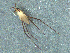  ( - MDFRC-11)  @11 [ ] CreativeCommons - Attribution Non-Commercial Share-Alike (2011) MDFRC Murray-Darling Freshwater Research Centre