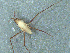  ( - MDFRC-12)  @11 [ ] CreativeCommons - Attribution Non-Commercial Share-Alike (2011) MDFRC Murray-Darling Freshwater Research Centre