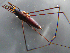  ( - MDFRC-13)  @11 [ ] CreativeCommons - Attribution Non-Commercial Share-Alike (2011) MDFRC Murray-Darling Freshwater Research Centre