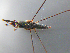  ( - MDFRC-6)  @11 [ ] CreativeCommons - Attribution Non-Commercial Share-Alike (2011) MDFRC Murray-Darling Freshwater Research Centre