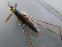  ( - MDFRC-7)  @11 [ ] CreativeCommons - Attribution Non-Commercial Share-Alike (2011) MDFRC Murray-Darling Freshwater Research Centre