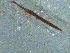  ( - MDFRC-45)  @11 [ ] CreativeCommons - Attribution Non-Commercial Share-Alike (2011) MDFRC Murray-Darling Freshwater Research Centre