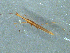  ( - MDFRC-47)  @11 [ ] CreativeCommons - Attribution Non-Commercial Share-Alike (2011) MDFRC Murray-Darling Freshwater Research Centre