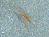  ( - MDFRC-48)  @11 [ ] CreativeCommons - Attribution Non-Commercial Share-Alike (2011) MDFRC Murray-Darling Freshwater Research Centre