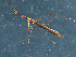  ( - MDFRC-44)  @11 [ ] CreativeCommons - Attribution Non-Commercial Share-Alike (2011) MDFRC Murray-Darling Freshwater Research Centre