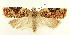  ( - MDH026316)  @11 [ ] CreativeCommons  Attribution (by) (2022) Daniel Handfield Unspecified