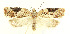  ( - MDH026599)  @11 [ ] CreativeCommons  Attribution (by) (2022) Daniel Handfield Unspecified