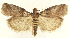  ( - MDH027202)  @11 [ ] CreativeCommons  Attribution (by) (2022) Daniel Handfield Unspecified