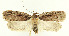  ( - MDH027217)  @11 [ ] CreativeCommons  Attribution (by) (2022) Daniel Handfield Unspecified
