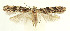  ( - MDH027736)  @11 [ ] CreativeCommons  Attribution (by) (2022) Daniel Handfield Unspecified