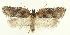  ( - MDH028602)  @11 [ ] CreativeCommons  Attribution (by) (2022) Daniel Handfield Unspecified