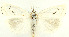  ( - MDH028661)  @11 [ ] CreativeCommons  Attribution (by) (2022) Daniel Handfield Unspecified