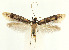  ( - MDH028989)  @11 [ ] CreativeCommons  Attribution (by) (2022) Daniel Handfield Unspecified
