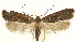  ( - MDH028997)  @11 [ ] CreativeCommons  Attribution (by) (2022) Daniel Handfield Unspecified