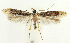  ( - MDH029025)  @11 [ ] CreativeCommons  Attribution (by) (2022) Daniel Handfield Unspecified
