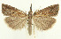  ( - MDH029058)  @11 [ ] CreativeCommons  Attribution (by) (2022) Daniel Handfield Unspecified