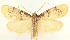  ( - MDH029266)  @11 [ ] CreativeCommons  Attribution (by) (2022) Daniel Handfield Unspecified