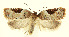  ( - MDH0J5189)  @11 [ ] CreativeCommons  Attribution (by) (2022) Daniel Handfield Unspecified