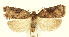  ( - MDH0J5558)  @11 [ ] CreativeCommons  Attribution (by) (2022) Daniel Handfield Unspecified