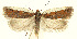  ( - MDH0J5560)  @11 [ ] CreativeCommons  Attribution (by) (2022) Daniel Handfield Unspecified