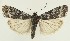  ( - MDH031780)  @11 [ ] CreativeCommons  Attribution (by) (2023) Daniel Handfield Unspecified