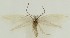  ( - MDH033645)  @11 [ ] CreativeCommons  Attribution (by) (2023) Daniel Handfield Unspecified