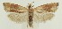  ( - MDH033977)  @11 [ ] CreativeCommons  Attribution (by) (2023) Daniel Handfield Unspecified