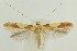  ( - MDH034502)  @11 [ ] CreativeCommons  Attribution (by) (2023) Daniel Handfield Unspecified