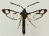  ( - MDH036148)  @11 [ ] CreativeCommons  Attribution (by) (2023) Daniel Handfield Unspecified