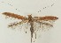  ( - MDH037438)  @11 [ ] CreativeCommons  Attribution (by) (2024) Daniel Handfield Unspecified