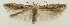  ( - MDH037465)  @11 [ ] CreativeCommons  Attribution (by) (2023) Daniel Handfield Unspecified